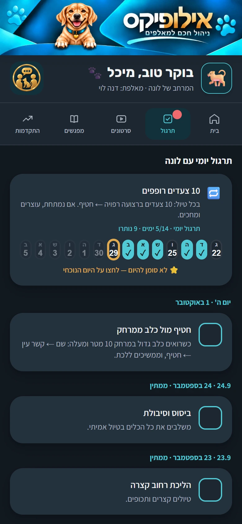 מסך התרגול אצל הבעלים